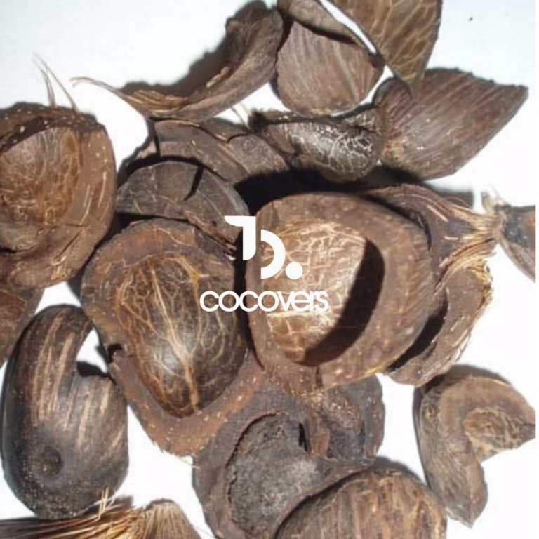 Palm Kernel Shell